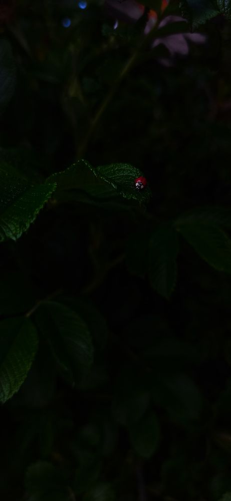 Фотография автора Ксения Вабищевич