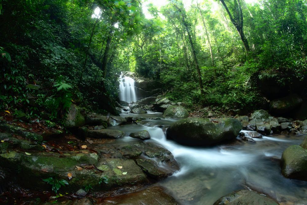 Photograph by Chee Fui Chin