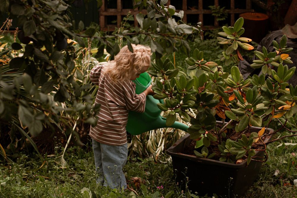 Photograph by Елена Алексеева