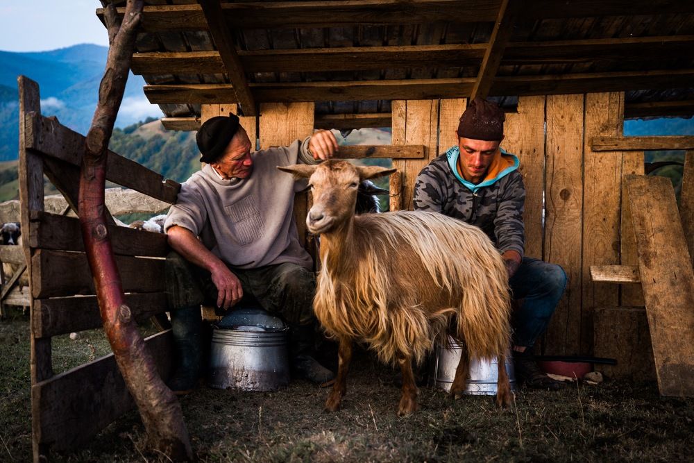 Photograph by Adrian Grigore