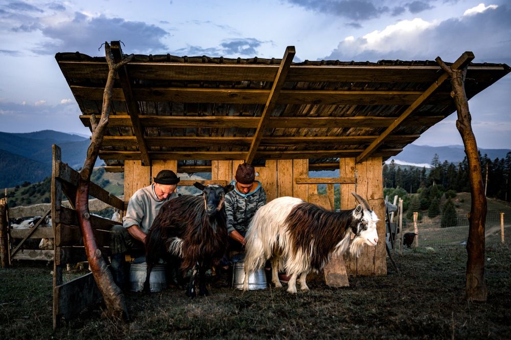 Photograph by Adrian Grigore