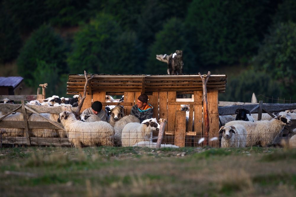 Photograph by Adrian Grigore