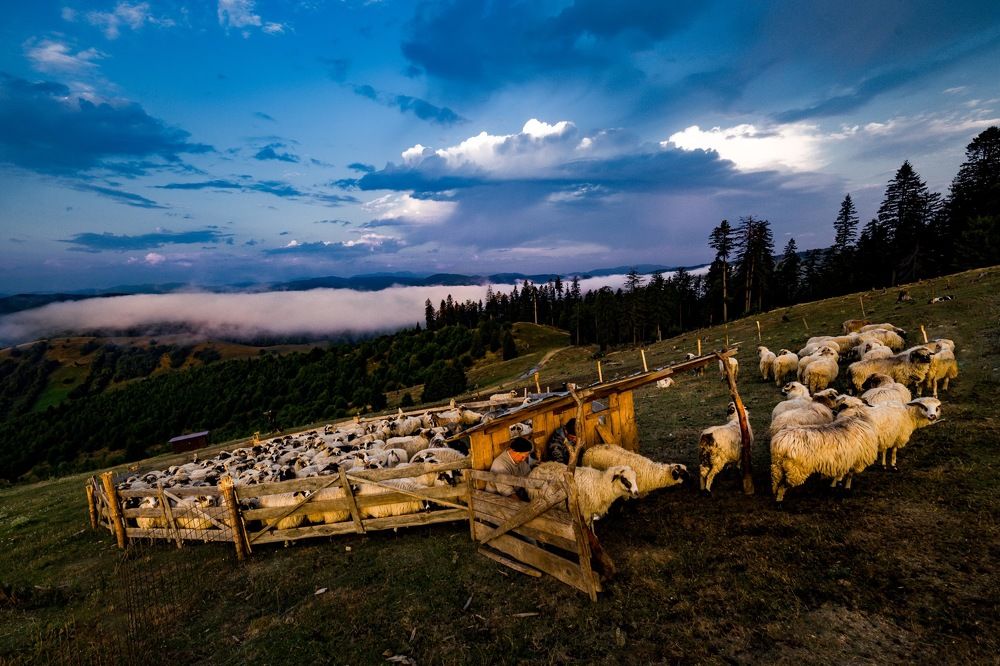 Photograph by Adrian Grigore