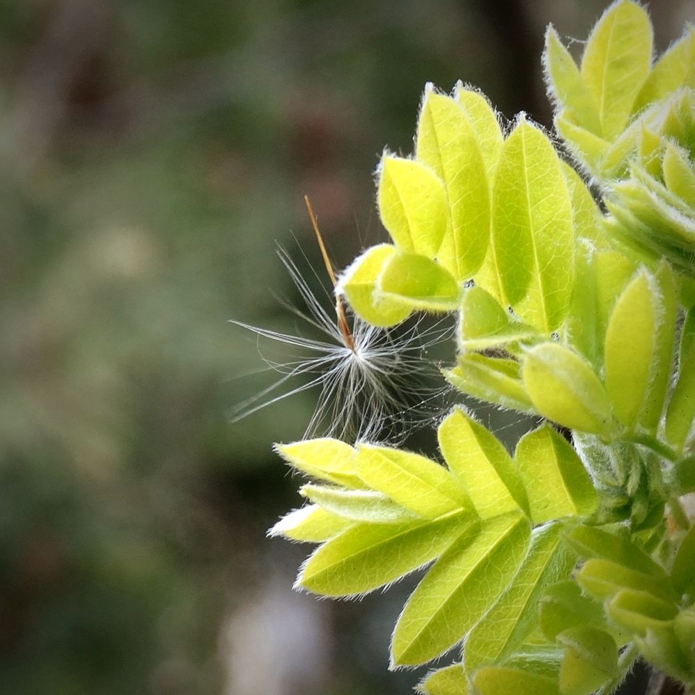 Photograph by Ирина Половцева