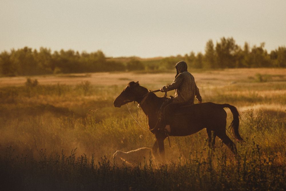 Photograph by Ирина Назарова