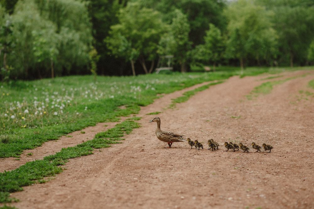 Photograph by Ирина Назарова