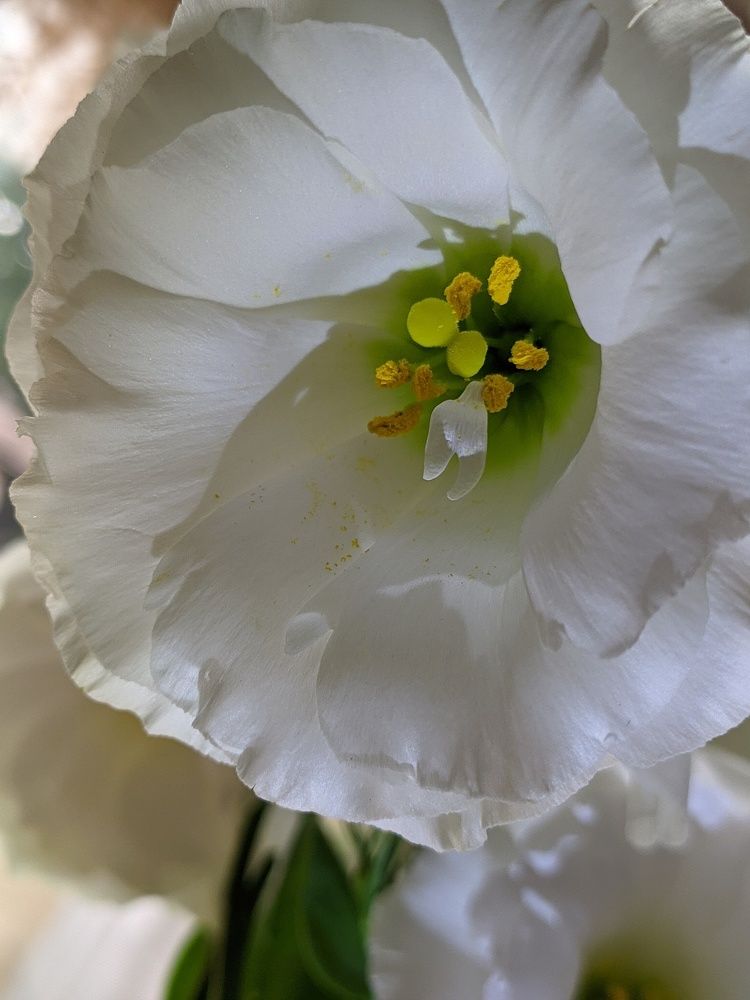 Photograph by Дарья Малиновская