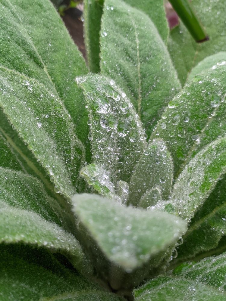 Photograph by Дарья Малиновская