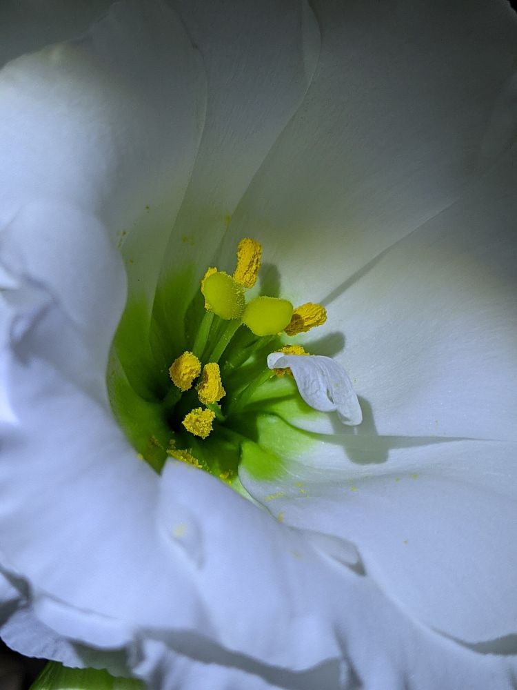 Photograph by Дарья Малиновская