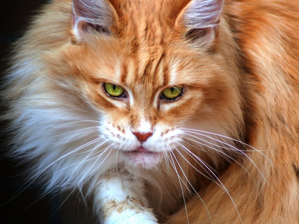 Photograph by Андрюс Киркляускас