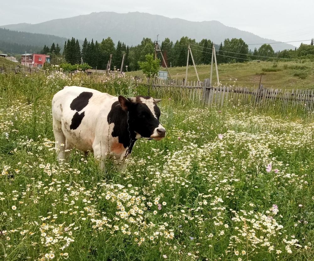 Фотография автора Ирина