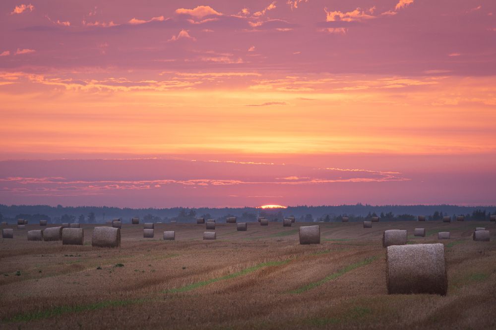 Катушки на рассвете близ Замартынья