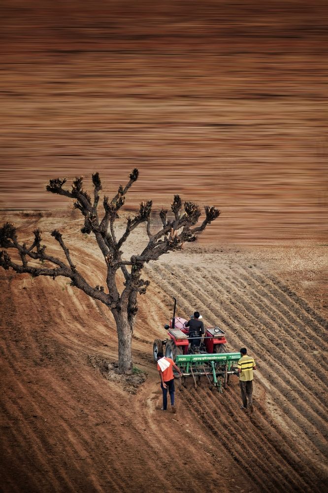 Tractor in the Farm