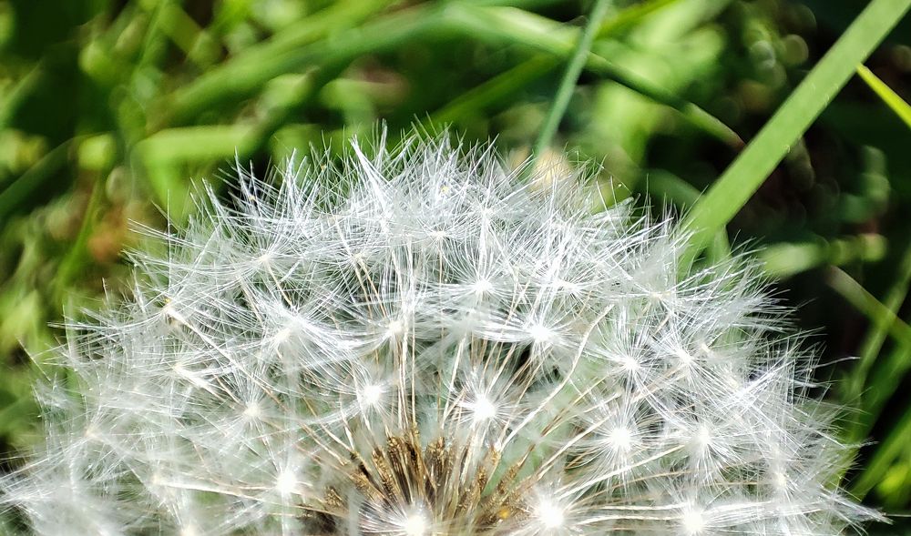 Photograph by Павел Минкевич