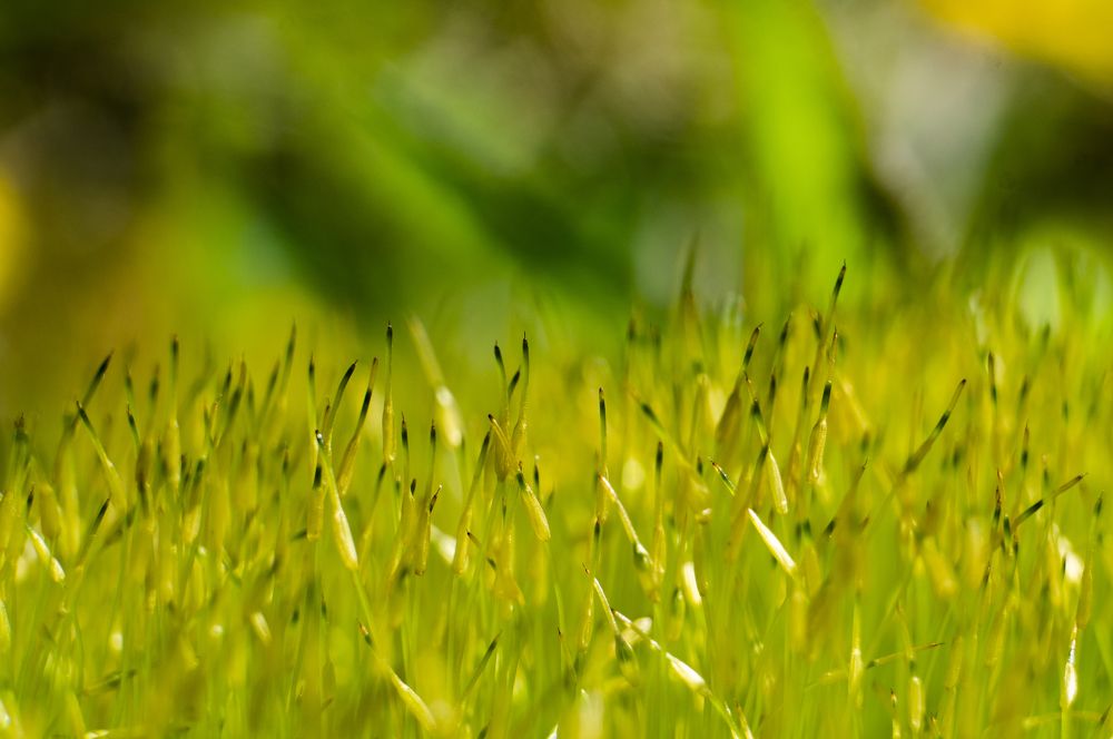 Photograph by Павел Минкевич