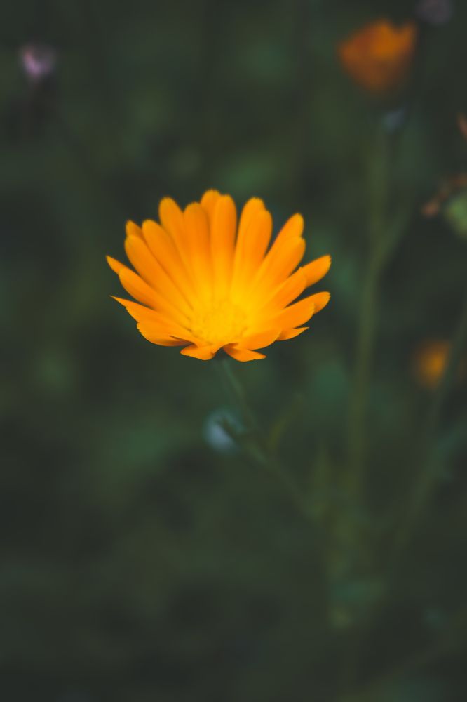 Photograph by Наталья Клячина