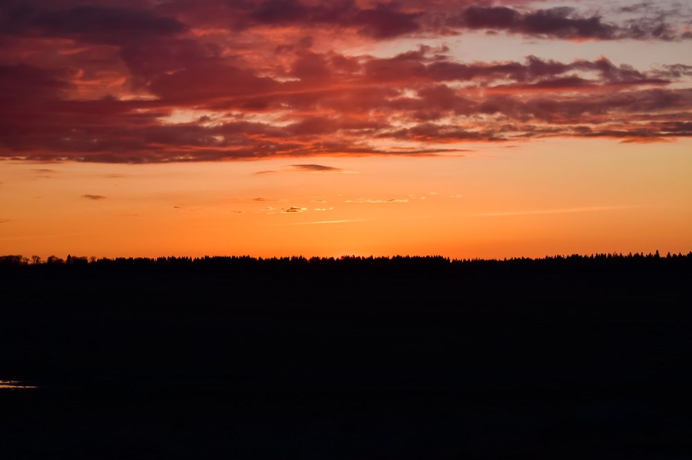 Photograph by Надежда Мякинина