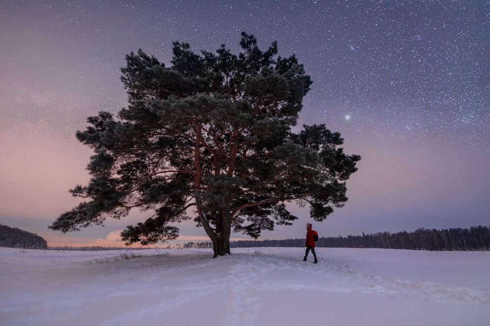 Photograph by Николай Шарлай