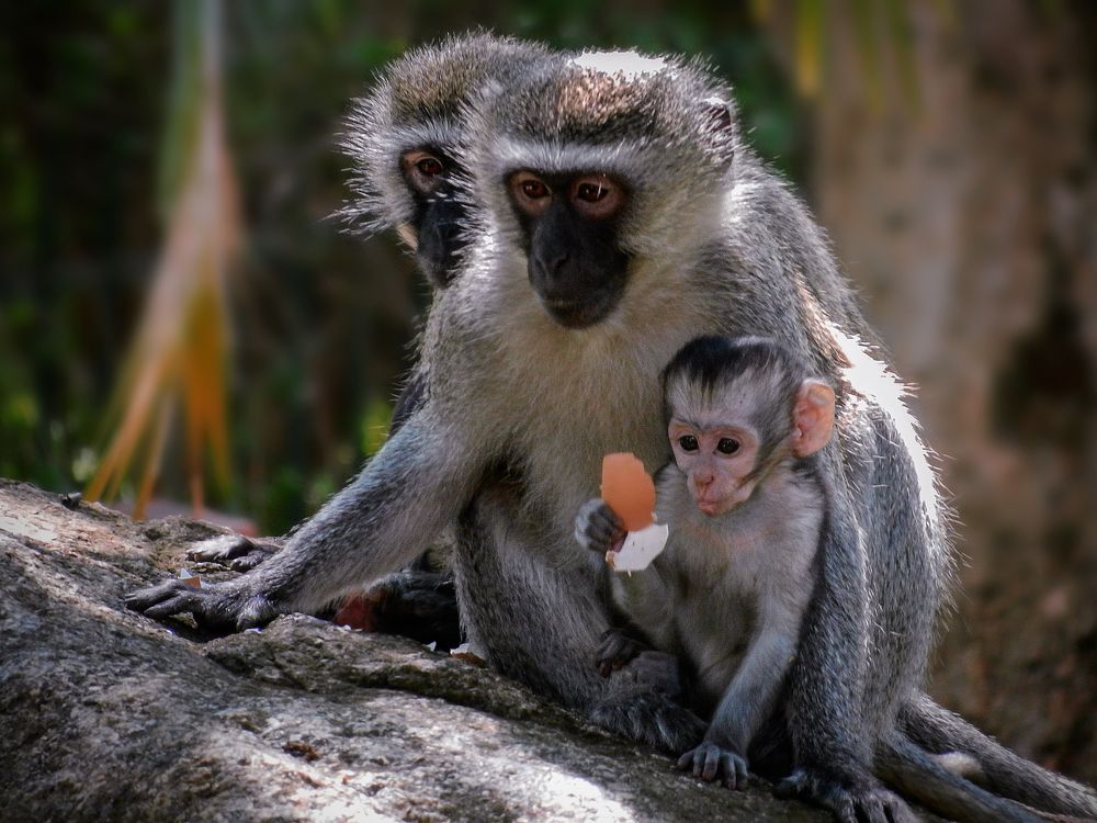 Photograph by Midge Engelbrecht