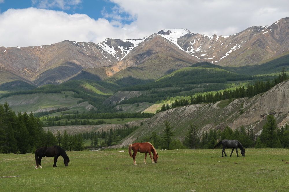 Фотография автора Андрей Ильков