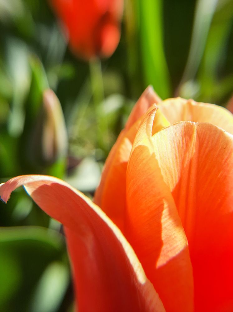 Фотография автора Светлана Дунаева