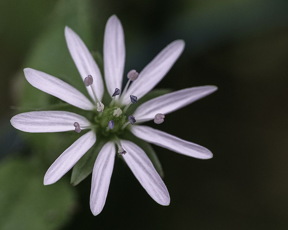 Photograph by Anna Sindikayeva