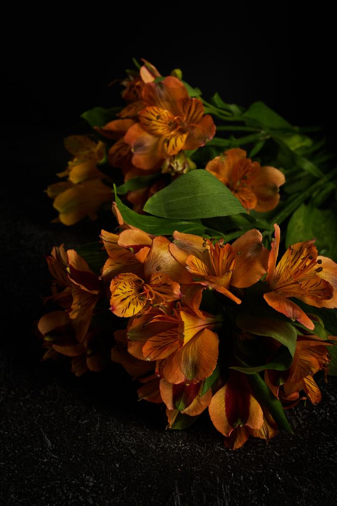 Photograph by Владислав Треус