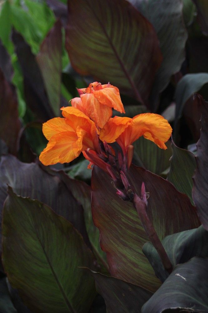 Photograph by Переверзева Татьяна