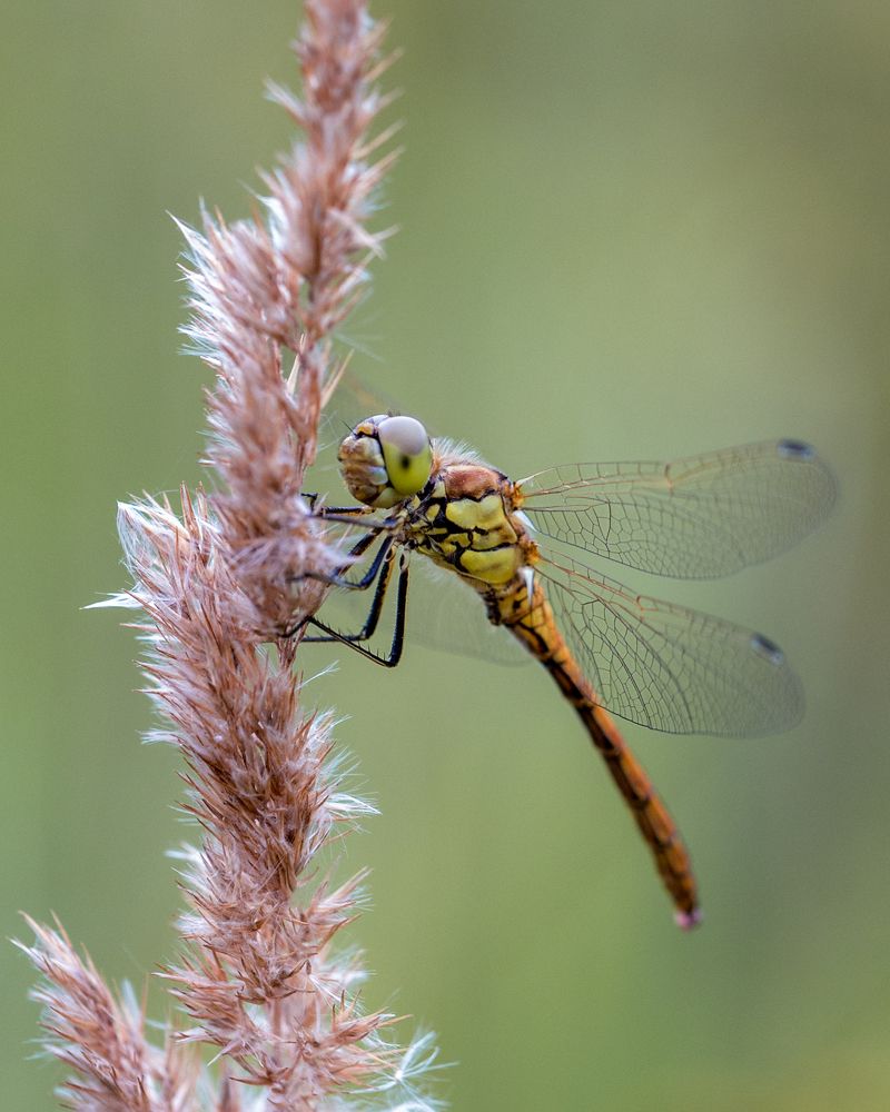 Photograph by Михаил