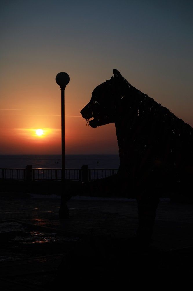 Photograph by Переверзева Татьяна