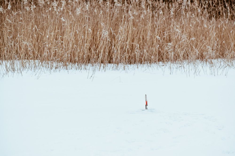 Photograph by Надежда Мякинина