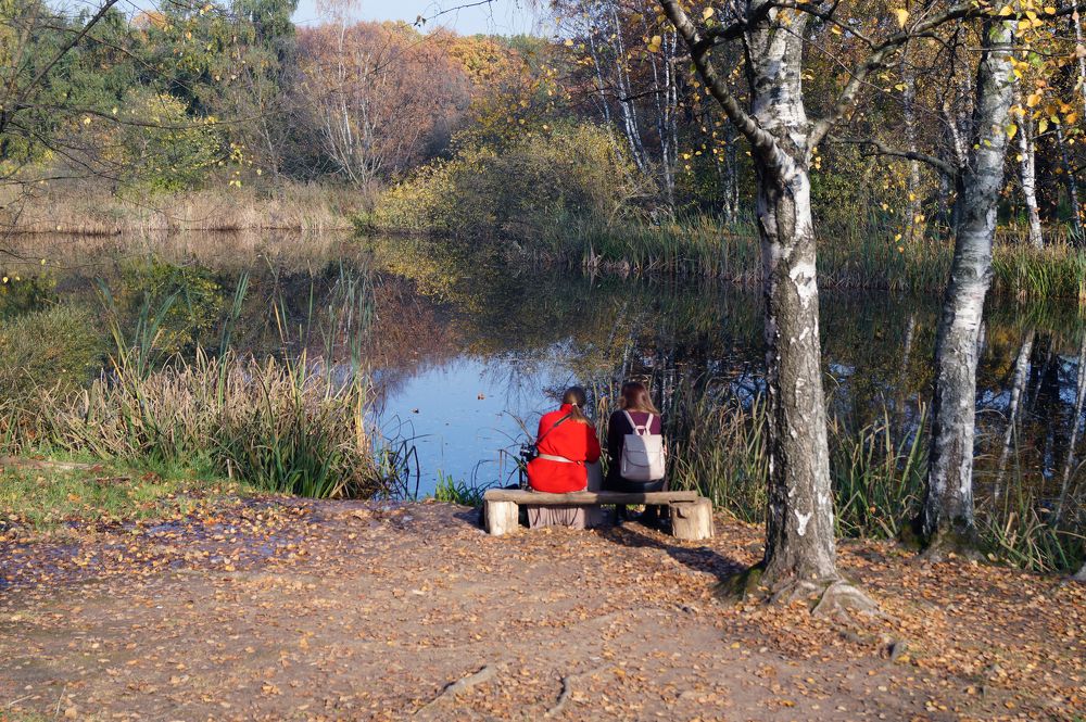 Photograph by Виталий К.