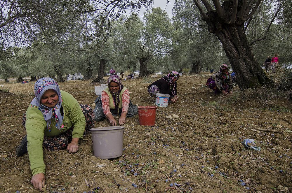 Photograph by Ozcan Simsek