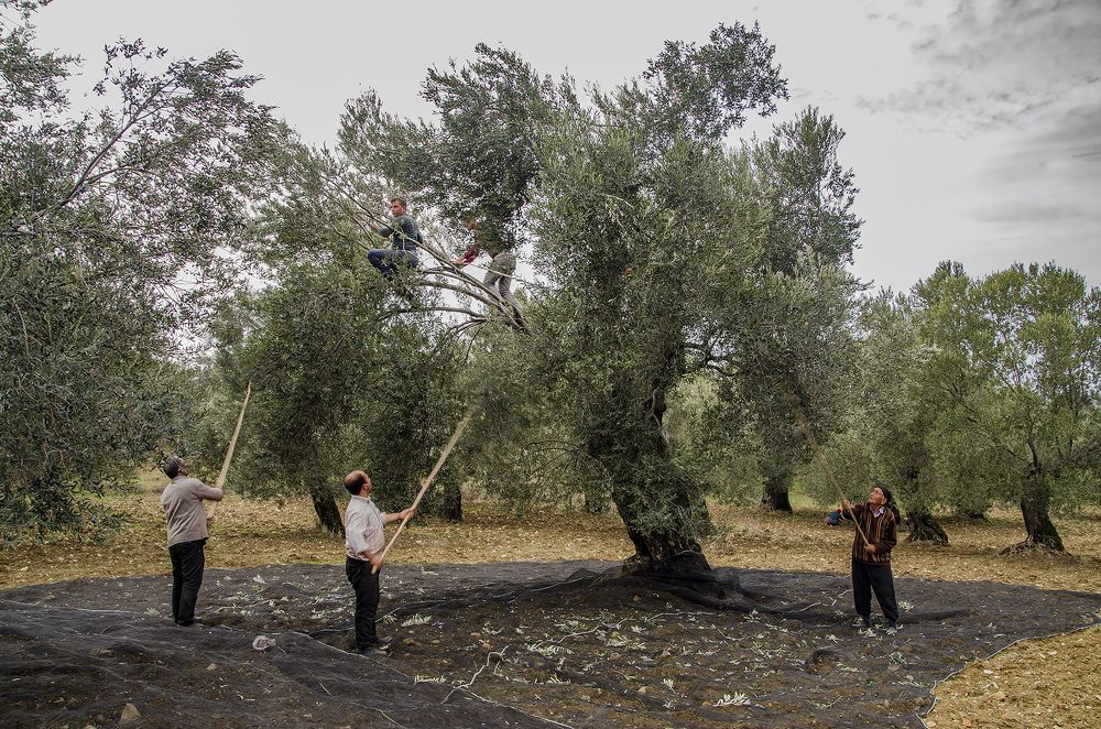 Photograph by Ozcan Simsek