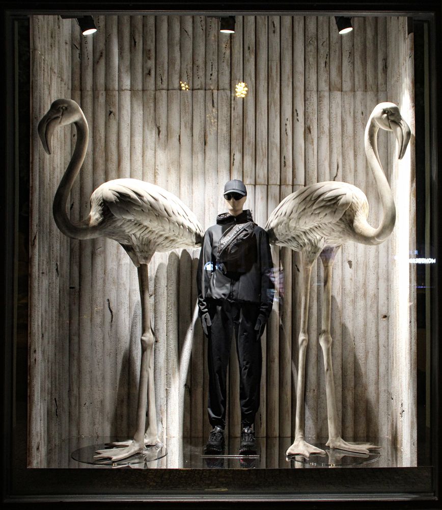 Люди и птицы