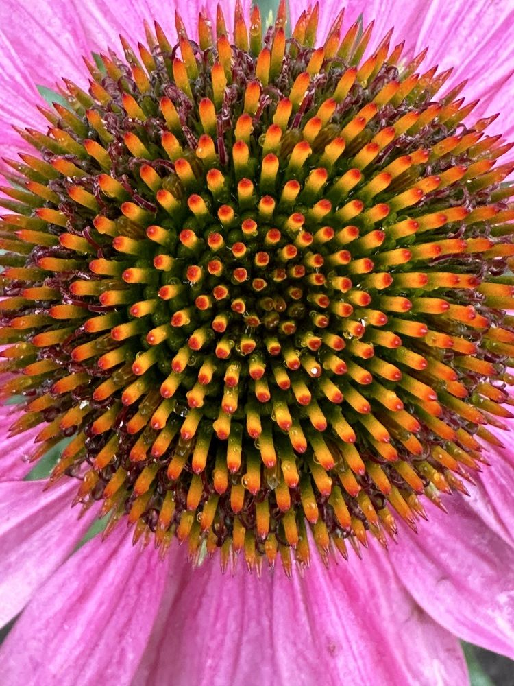 Photograph by Лариса Акинчиц