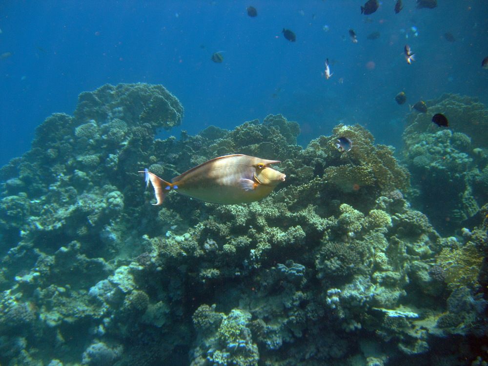 Photograph by Анна Ф