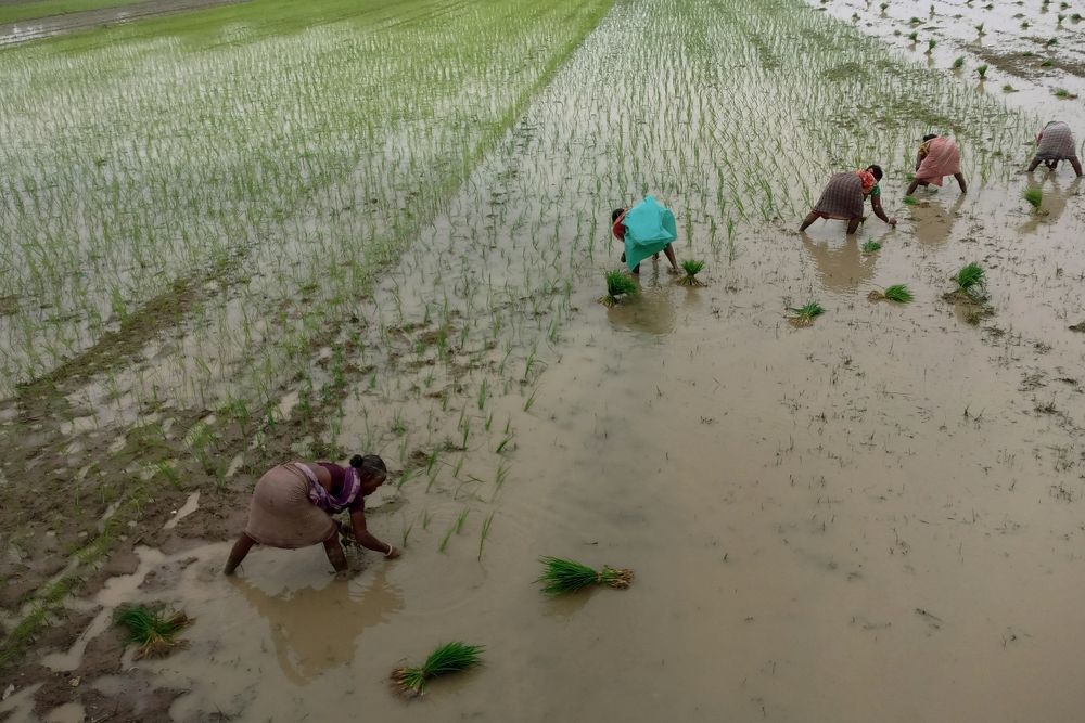 Фотография автора Subham Banerjee