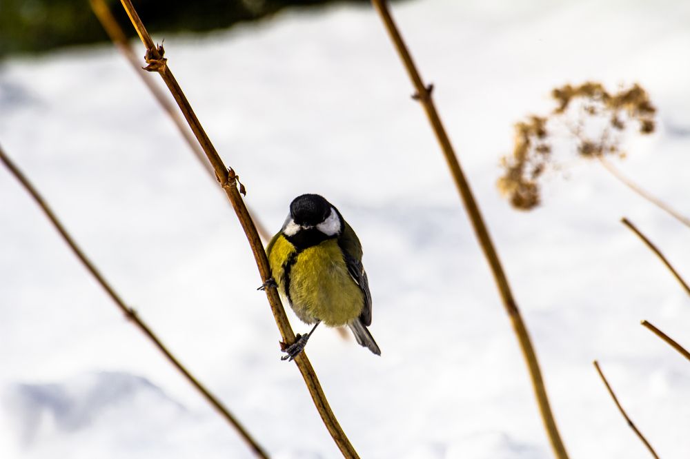 Photograph by Алексей