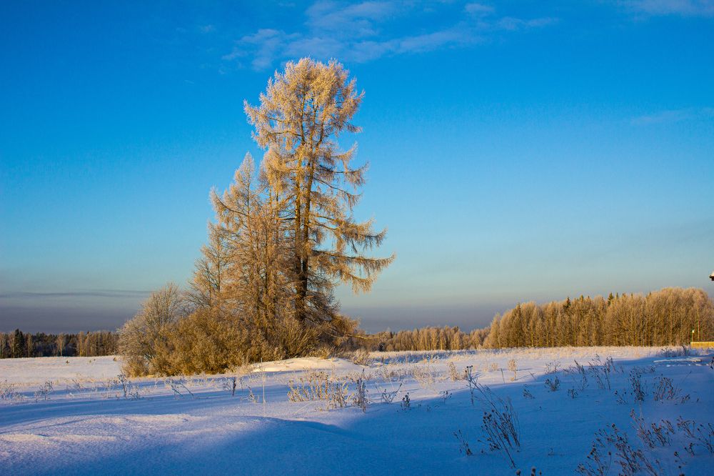 Photograph by Алексей