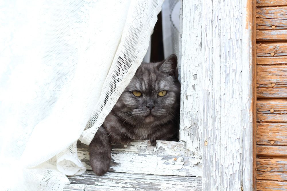 Photograph by Наталия Тарасова