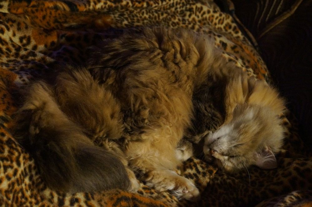 Photograph by Георгий Галкин