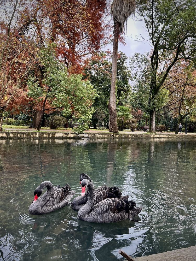 Photograph by Евгения Решетникова