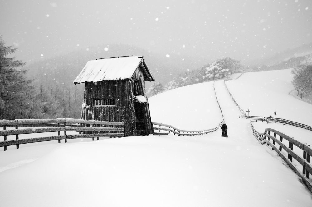 Photograph by Min  Ja Woo