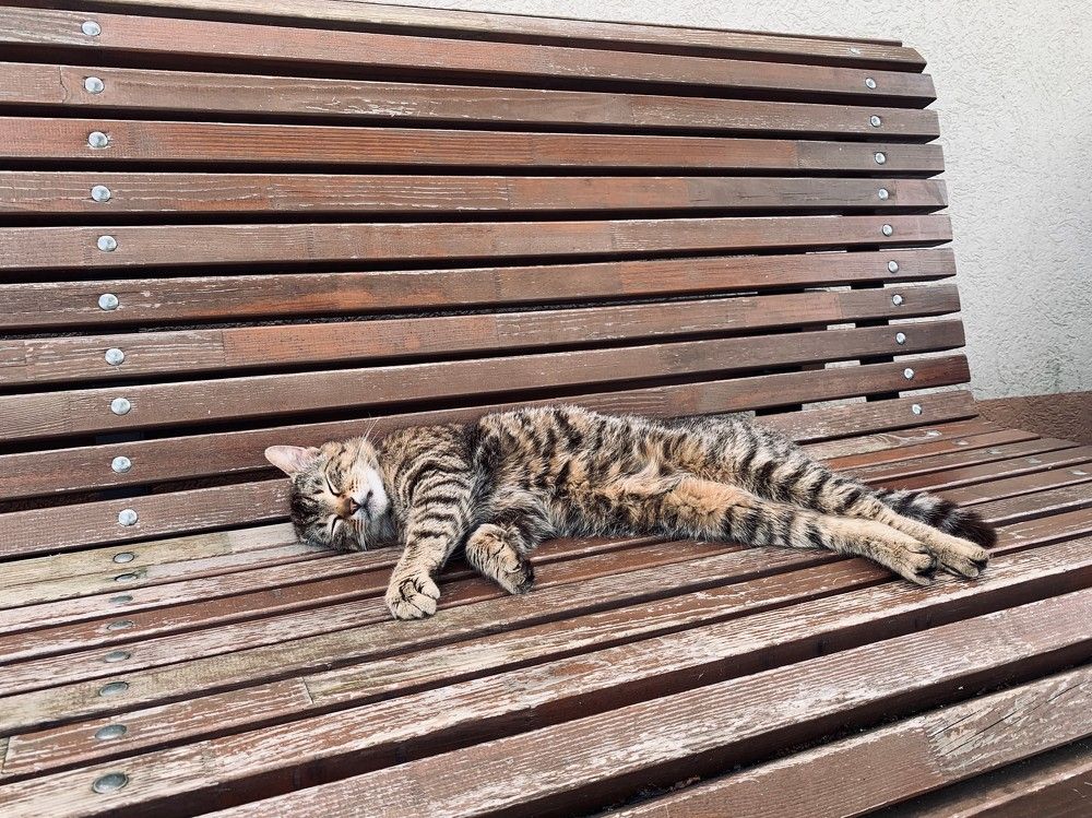 Photograph by Наталия Тарасова