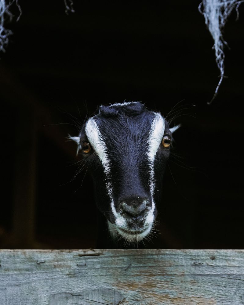 Photograph by Margo Vorobeva