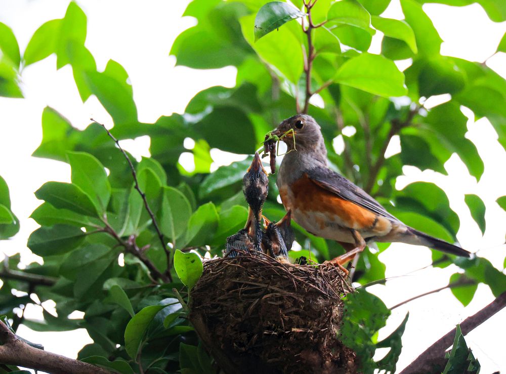 Photograph by Min  Ja Woo