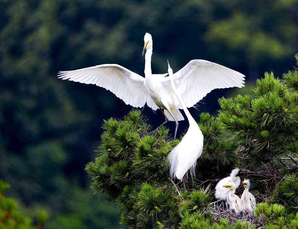 Photograph by Min  Ja Woo