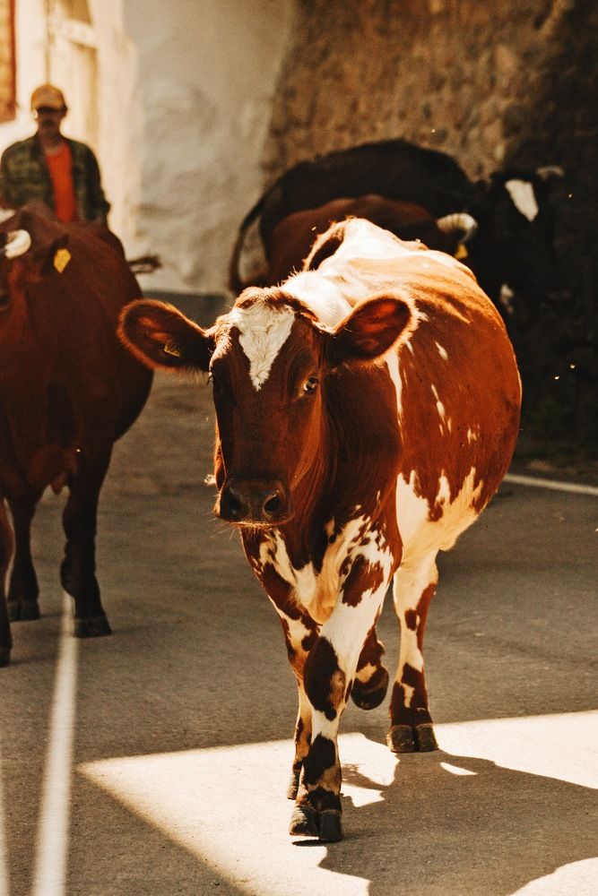 Фотография автора Ксения Шамсудинова