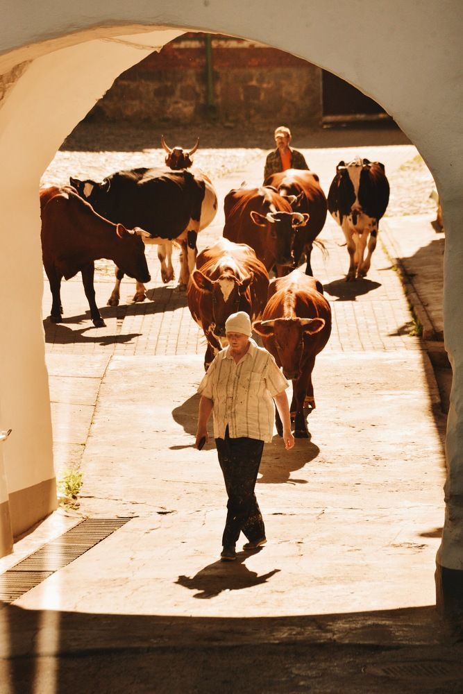 Фотография автора Ксения Шамсудинова